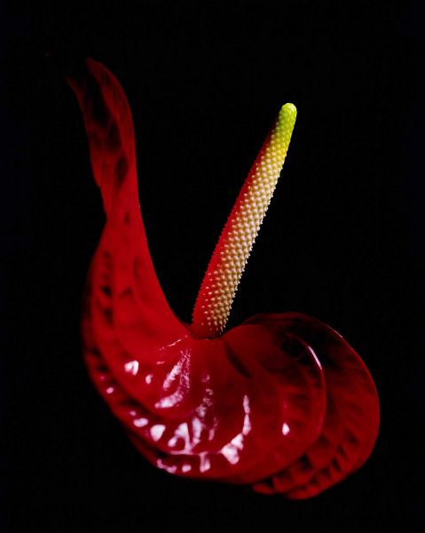 © Herbie - Fotolia.com